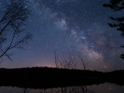 Night Crickets Nature Sounds For Sleep, Relax, Meditation, Study