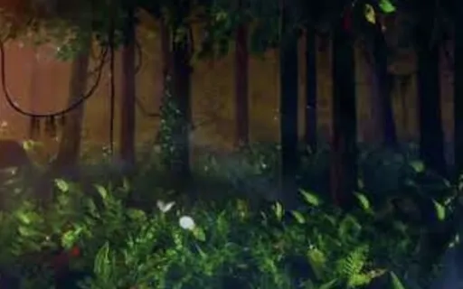 Night Forest Rain-Soft Piano