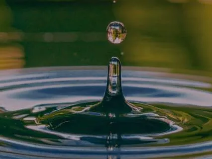 Night Frogs and Crickets For Deep Sleep (8 Hours)