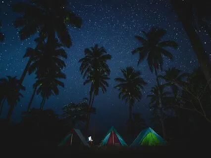 Night In The Tropics Nature Sounds