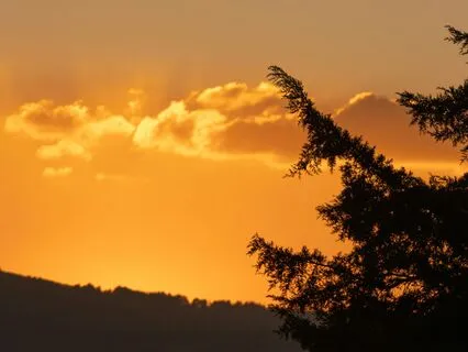 Night Long Quiet, Frozen Stillness