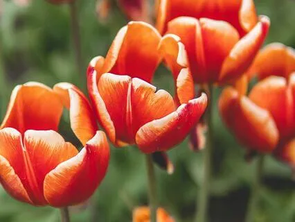 Night Meditation For Your Abundance