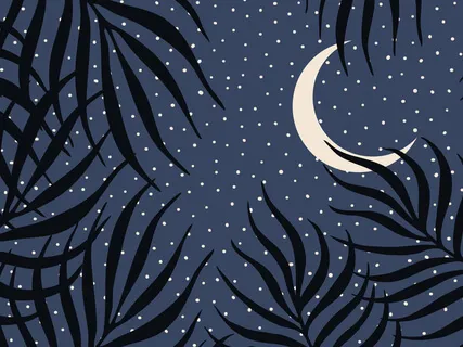 Night Night Sleep Tight