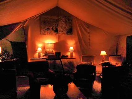 Night On The African Savannah Sleep Meditation