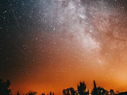 Night Out With The Stars