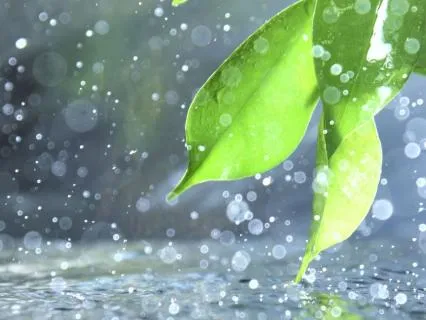 Night Rain Cocoon | Brown Noise For Deep Sleep