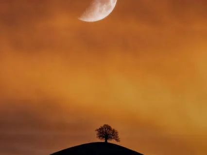 Night Rest: Live Sleep Meditations 2