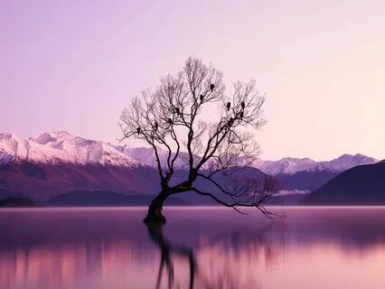 Night Serenity: Lullabies For Deep Slumber