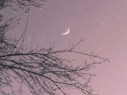 Night Serenity - The Art Of Deep Sleep (Alpha, Theta, Delta)