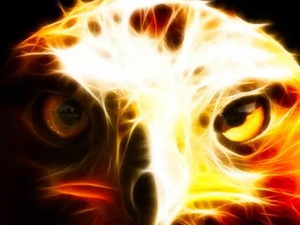 Night Sounds With Native Flute