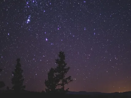 Night Sounds By The Pond