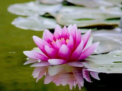 Night Time Affirmations To Find Value And Connection