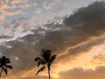 Night Time Body Scan: Settle Into Safety