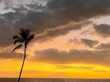 Night Time: Coming Home To Stillness