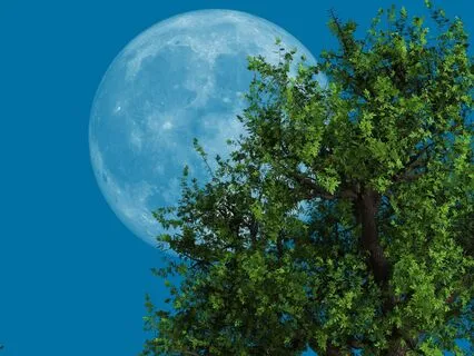 Night Time For Native Flute