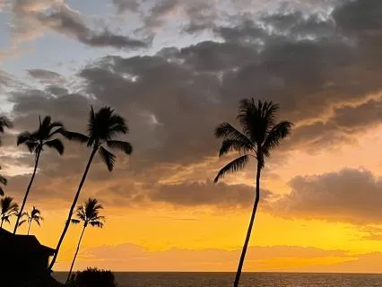 Night Time: Gentle Descent Into Rest