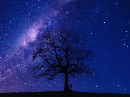 Night Time In The Treehouse