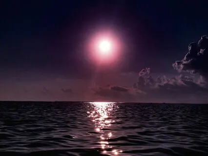 Night Time Piano Stories For Sleep And Insomnia - Chapter 4