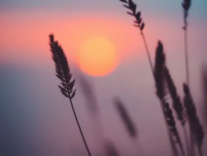 Night Time Shielding Routine For Anxiety Relief