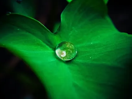 Night Tranquility - Ambience and Raindrops for Deep Sleep