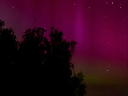 Night Tranquility | Fast Asleep In Minutes | Delta Waves