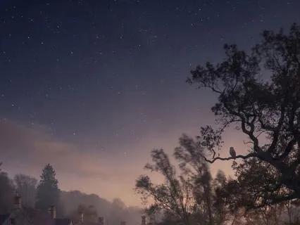 Night Village Sounds for Peaceful Sleep