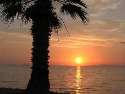 Night Whispers Of The Flute Soul