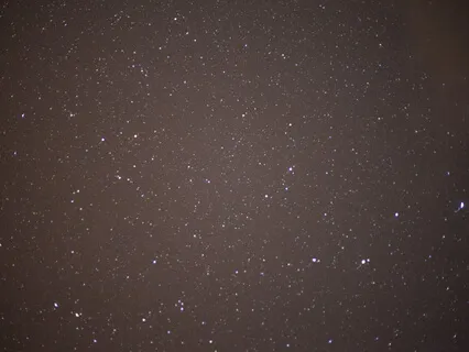 Nightblooming Poetry, Hopeful Poetry