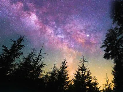 Nightfall ~ Deep Sleep Music With Nature Sounds