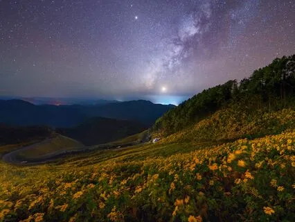 Nightfall Calm: Peaceful Sleep Escape