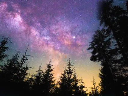 Nightfall - Deep Sleep Music & Nature Soundscapes - 8 Hrs