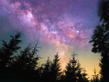 Nightfall ~ Deep Sleep Music With Nature Sounds ~ 30 Min