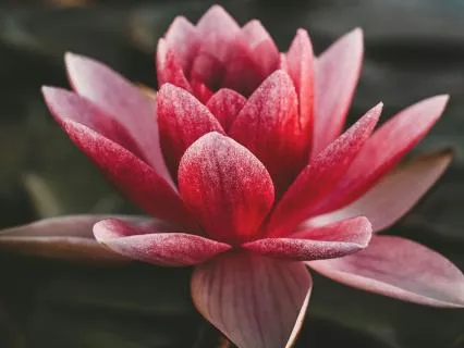 Nightime Energy Cleanse Meditation For Sleep