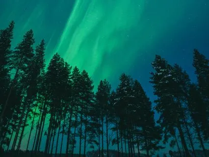 Nightly Bedtime Meditation ~ The Dreamers Sanctuary