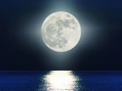 Nightly Vagus Nerve Release For Deep, Healing Sleep