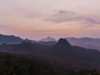 Nighttime Aum In Jungle