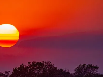 Nighttime Frog Nature Sounds For A Good Night's Sleep