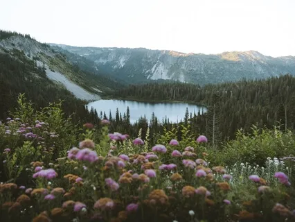 Nighttime Gratitude Practice
