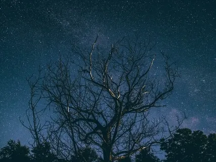 Relax & Prepare For A Deeper Sleep