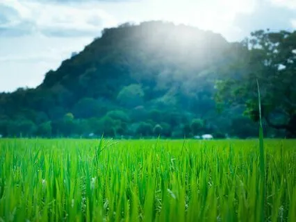 Nighttime Harmony -  Anxiety Relief Sleepscape