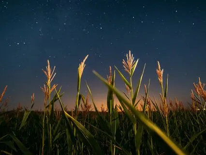 Nighttime Healing: Restful Sleep Sounds