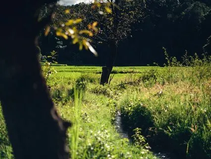 Nighttime Peace: Calm Your Thoughts