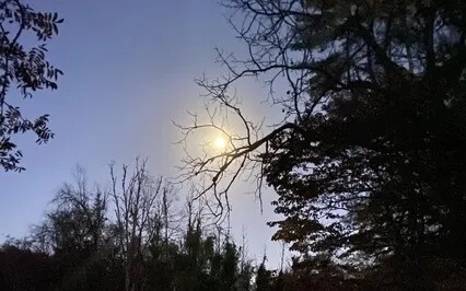 Nighttime Serenade Sound Bath