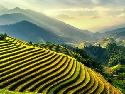 Nighttime Serenity - Meditative Restoration