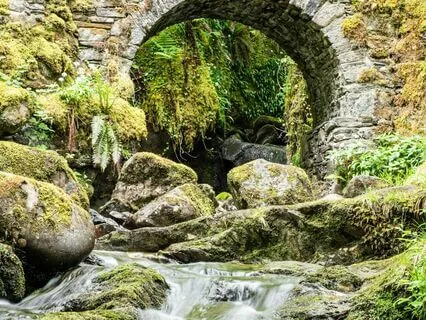 Nighttime Stories: Estonian Magical Creatures