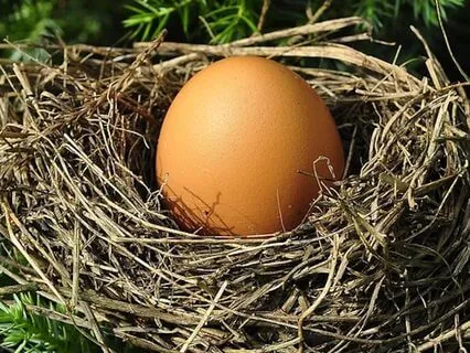 Nighttime Story: Creation Myths And The Cosmic Egg