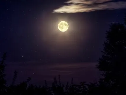 3-6-9 Code With 369 Hz Tuning Fork + Delta