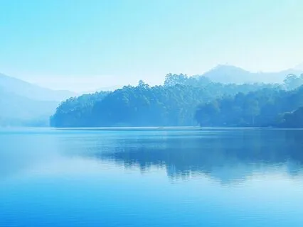 Nine Of Cups - Tarot Active Imagination