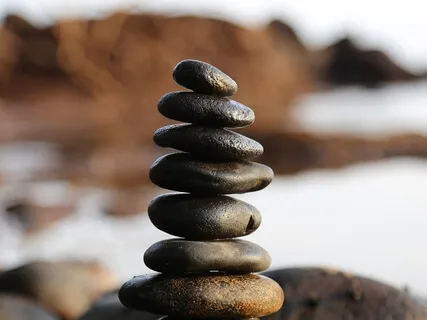 Nisargadatta Contemplation - The Mind 