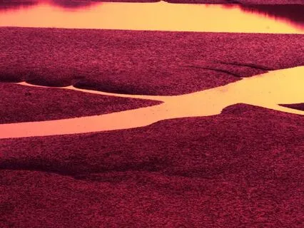 Nitric Oxide Boost In 15 Minutes With Yoga Nidra